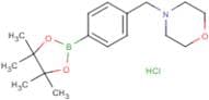 4-((Morpholino)methyl)phenylboronic acid pinacol ester hydrochloride