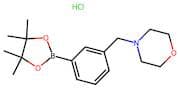 3-[(Morpholin-4-yl)methyl]benzeneboronic acid, pinacol ester hydrochloride