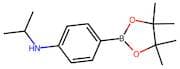 4-(Isopropylamino)benzeneboronic acid, pinacol ester