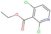 Ethyl 2,4-dichloronicotinate