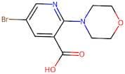 5-Bromo-2-morpholinonicotinic acid