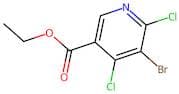 Ethyl 5-bromo-4,6-dichloronicotinate