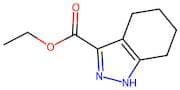 Ethyl 4,5,6,7-tetrahydro-1H-indazole-3-carboxylate