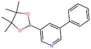 (5-Phenylpyridin-3-yl)boronic acid, pinacol ester