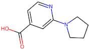 2-(Pyrrolidin-1-yl)isonicotinic acid