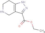 Ethyl 4,5,6,7-tetrahydro-1H-pyrazolo[4,3-c]pyridine-3-carboxylate