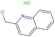 2-(Chloromethyl)quinoline hydrochloride