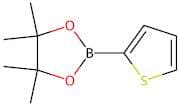 Thiophene-2-boronic acid, pinacol ester