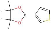 Thiophene-3-boronic acid, pinacol ester