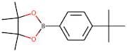 4-(tert-Butyl)benzeneboronic acid, pinacol ester