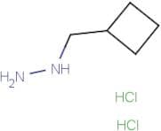 (Cyclobutylmethyl)hydrazine dihydrochloride