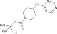 tert-Butyl 4-(pyrimidin-4-ylamino)piperidine-1-carboxylate
