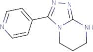 4-{5H,6H,7H,8H-[1,2,4]Triazolo[4,3-a]pyrimidin-3-yl}pyridine