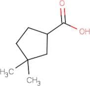 3,3-Dimethylcyclopentanecarboxylic acid