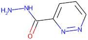 Pyridazine-3-carbohydrazide