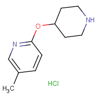 5-Methyl-2-(piperidin-4-yloxy)pyridine hydrochloride