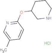 5-Methyl-2-(piperidin-3-yloxy)pyridine hydrochloride