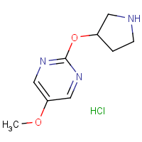 5-Methoxy-2-(pyrrolidin-3-yloxy)pyrimidine hydrochloride