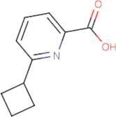6-Cyclobutylpicolinic acid