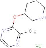 2-Methyl-3-(piperidin-3-yloxy)pyrazine hydrochloride