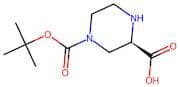 (2R)-Piperazine-2-carboxylic acid, N4-BOC protected