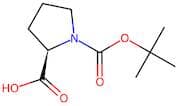 N-Boc-D-proline