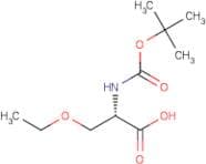 (S)-N-Boc-2-amino-3-ethoxy-propionic acid