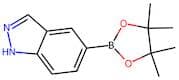 1H-Indazole-5-boronic acid, pinacol ester