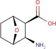 diexo-3-Amino-7-oxa-bicyclo[2.2.1]heptane-2-carboxylic acid