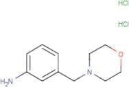3-Morpholin-4-ylmethyl-phenylamine dihydrochloride