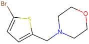 5-Bromo-2-(morpholin-4-ylmethyl)thiophene