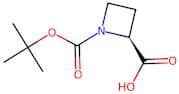 (S)-Azetidine-1,2-dicarboxylic acid 1-tert-butyl ester