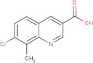 7-Chloro-8-methylquinoline-3-carboxylic acid