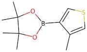 4-Methylthiophene-3-boronic acid pinacol ester