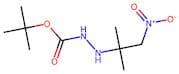 tert-Butyl 2-(2-methyl-1-nitropropan-2-yl)hydrazinecarboxylate