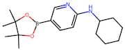 N-Cyclohexyl-5-(tetramethyl-1,3,2-dioxaborolan-2-yl)pyridin-2-amine