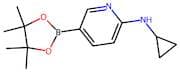 N-Cyclopropyl-5-(tetramethyl-1,3,2-dioxaborolan-2-yl)pyridin-2-amine