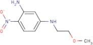 1-N-(2-Methoxyethyl)-4-nitrobenzene-1,3-diamine