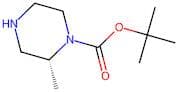 (2R)-2-Methylpiperazine, N1-BOC protected