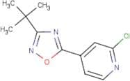 4-(3-tert-Butyl-1,2,4-oxadiazol-5-yl)-2-chloropyridine