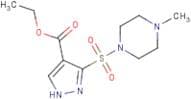 Ethyl 3-[(4-methylpiperazin-1-yl)sulfonyl]-1H-pyrazole-4-carboxylate
