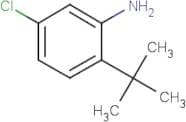 2-tert-Butyl-5-chloroaniline