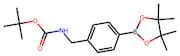 tert-Butyl N-{[4-(tetramethyl-1,3,2-dioxaborolan-2-yl)phenyl]methyl}carbamate