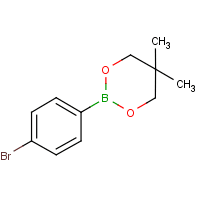 2-(4-Bromophenyl)-5,5-dimethyl-1,3,2-dioxaborinane