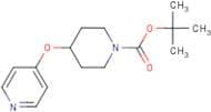 tert-Butyl 4-(pyridin-4-yloxy)piperidine-1-carboxylate