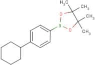 2-(4-Cyclohexylphenyl)-4,4,5,5-tetramethyl-1,3,2-dioxaborolane