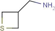 Thietan-3-ylmethanamine