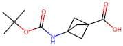 3-Aminobicyclo[1.1.1]pentane-1-carboxylic acid, N-BOC protected