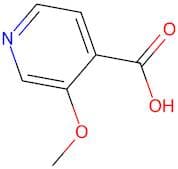 3-Methoxyisonicotinic acid