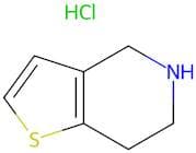 4,5,6,7-Tetrahydrothieno[3,2-c]pyridine hydrochloride